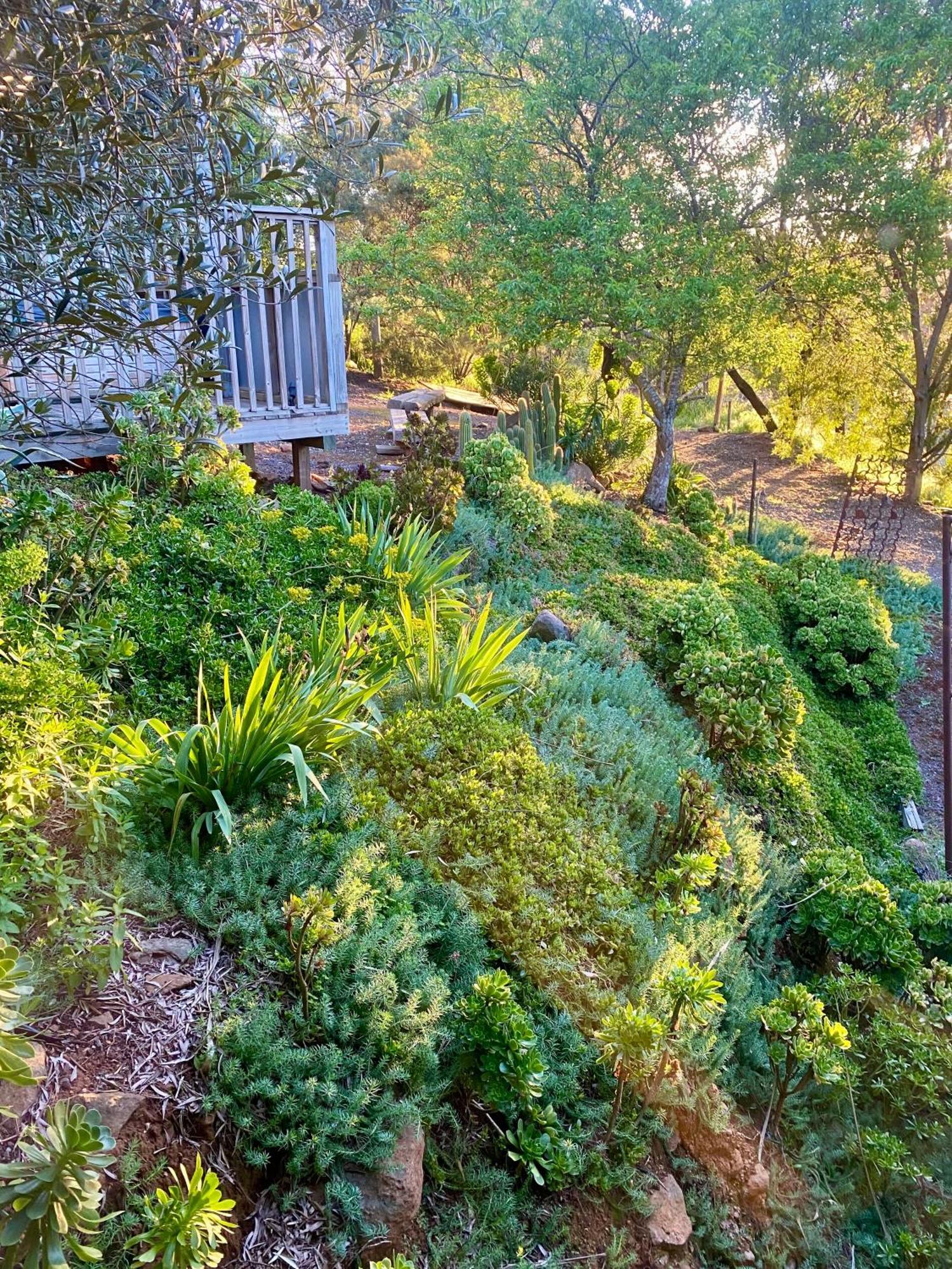 דירות דיילספורד Sutton Spring Art Retreats חדר תמונה