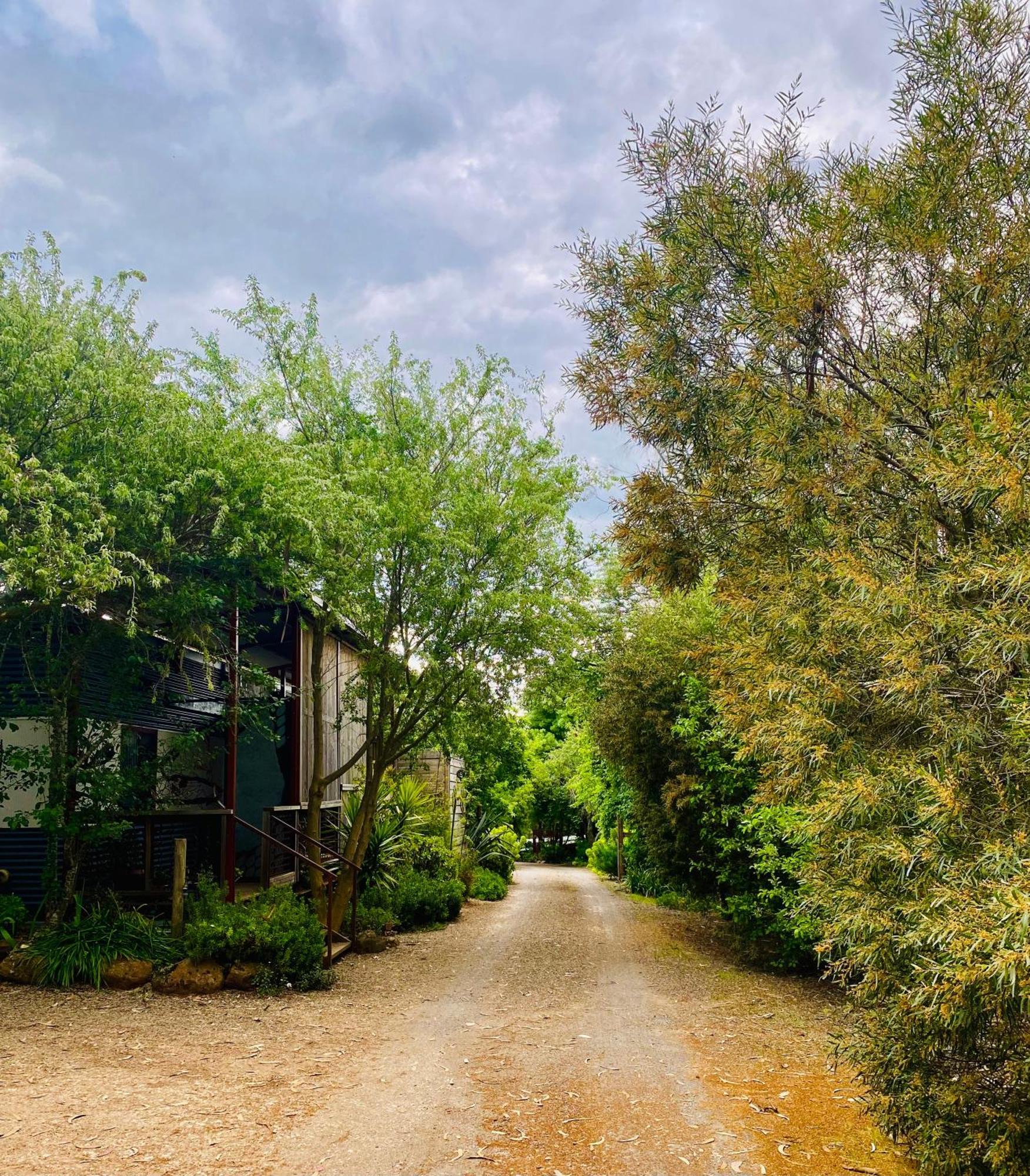 דירות דיילספורד Sutton Spring Art Retreats חדר תמונה