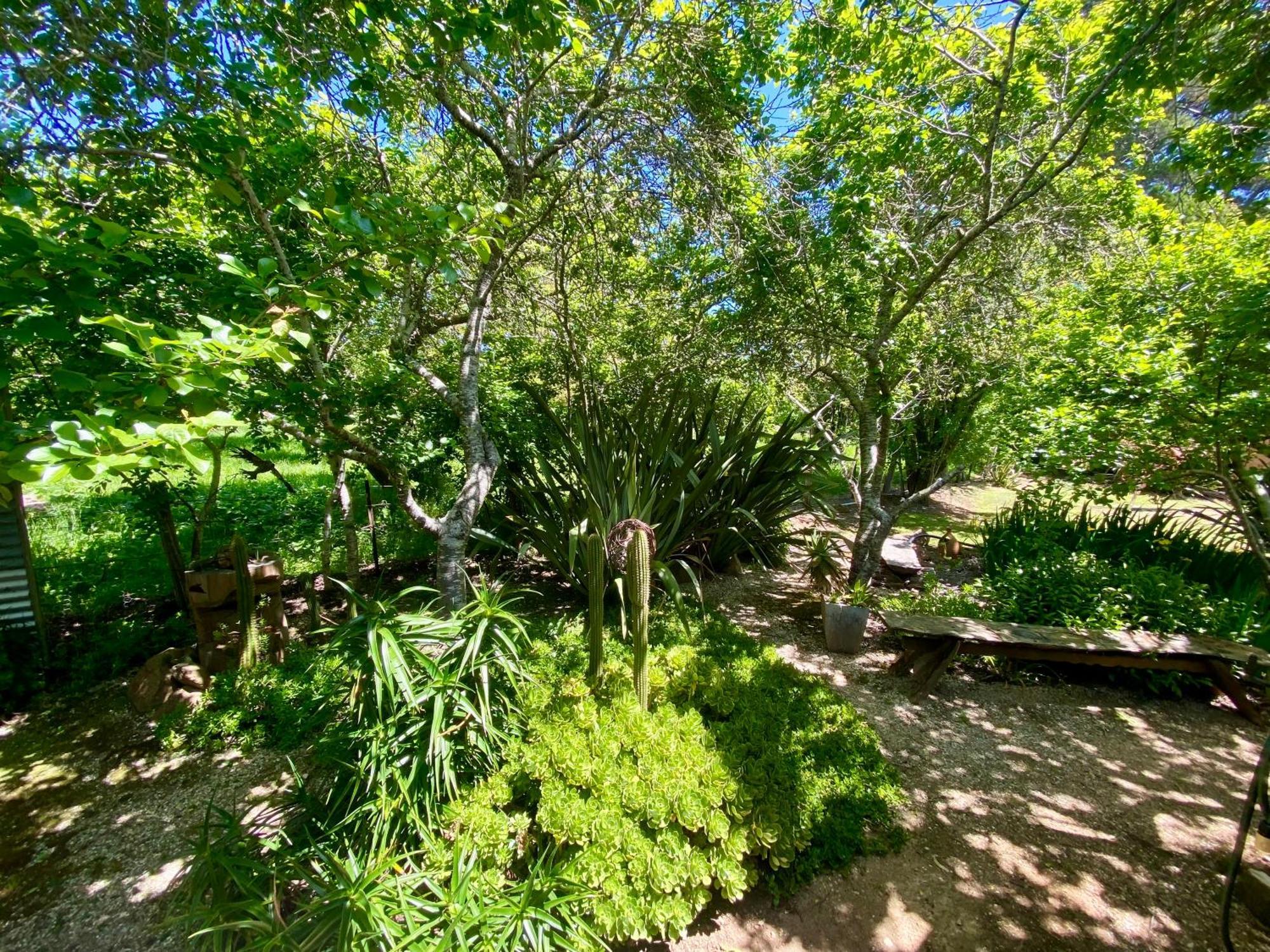 דירות דיילספורד Sutton Spring Art Retreats חדר תמונה