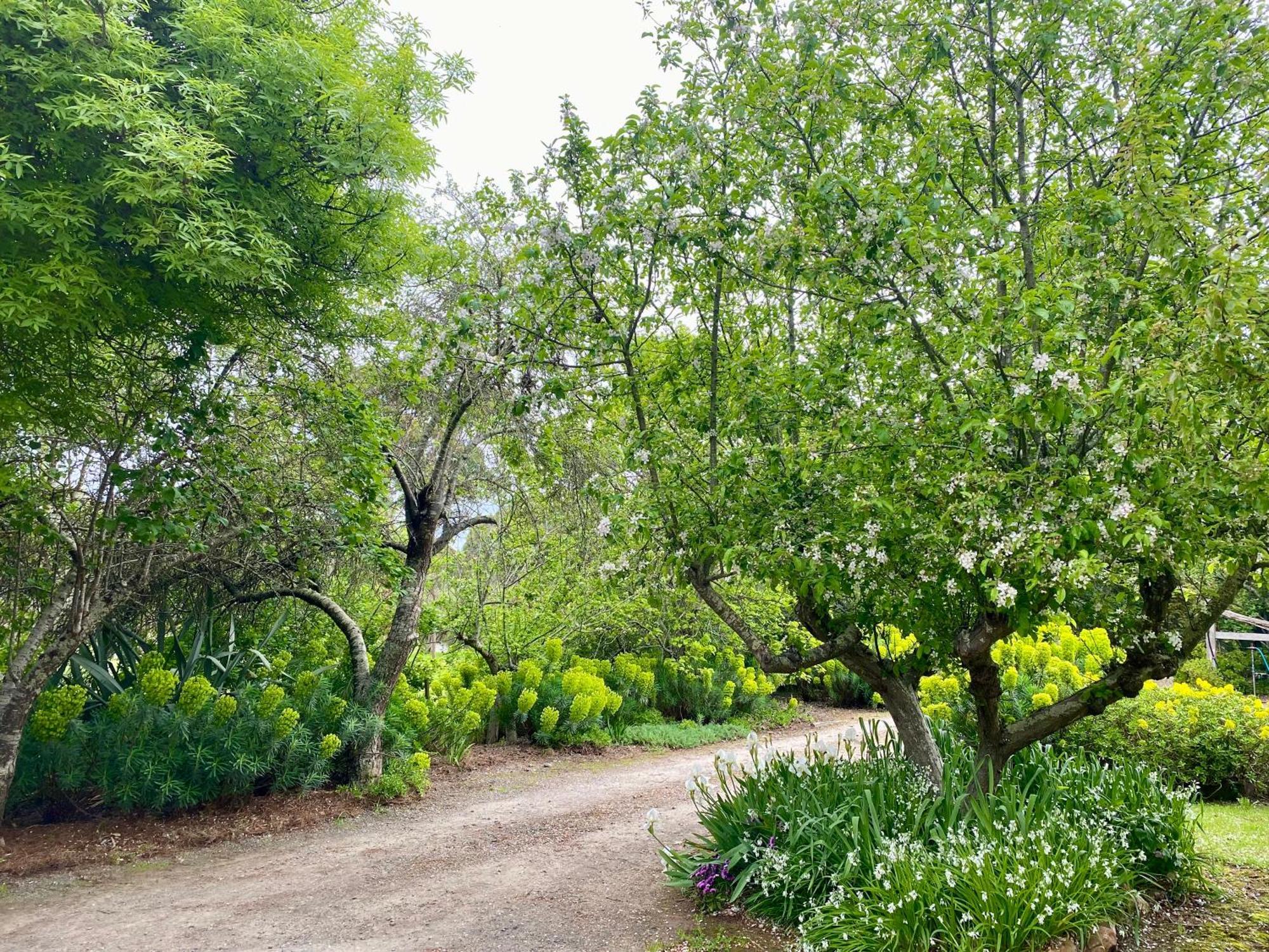 דירות דיילספורד Sutton Spring Art Retreats חדר תמונה