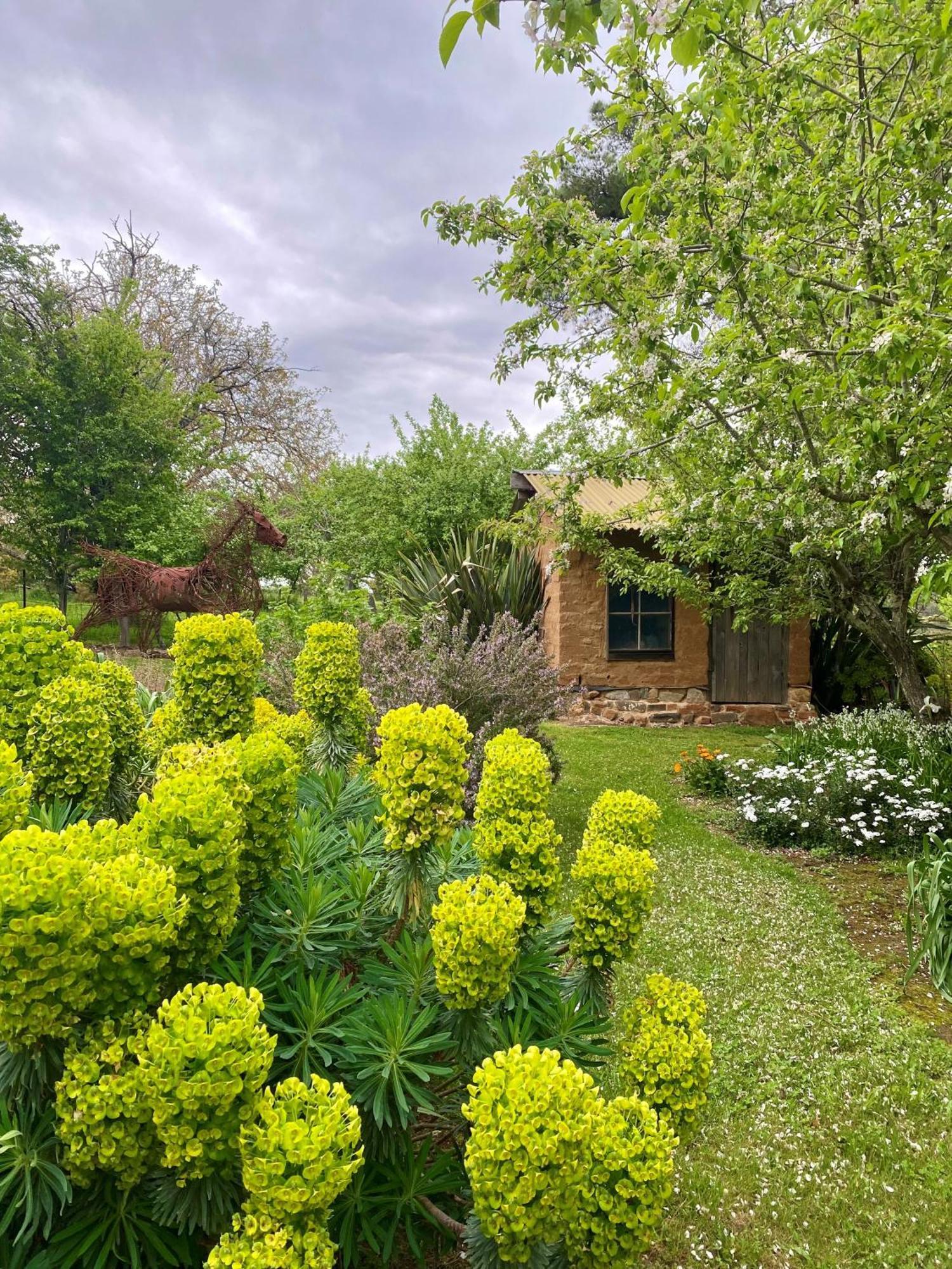 דירות דיילספורד Sutton Spring Art Retreats מראה חיצוני תמונה